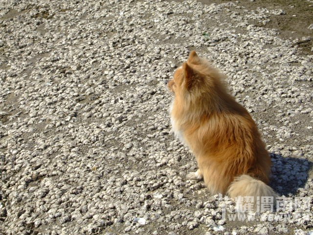 DSCF0184.JPG
