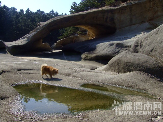 DSCF0201.JPG