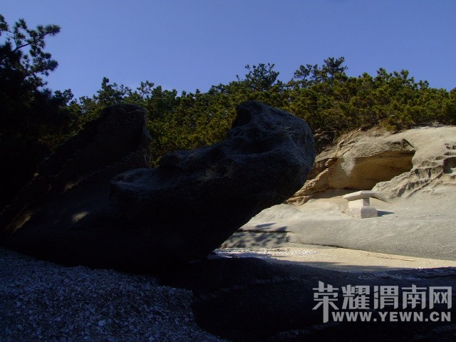 DSCF0228.JPG