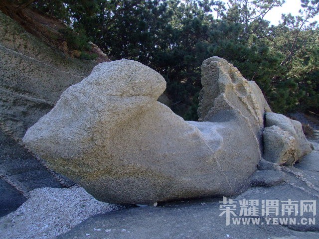 DSCF0227.JPG