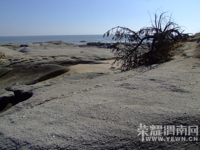 DSCF0232.JPG