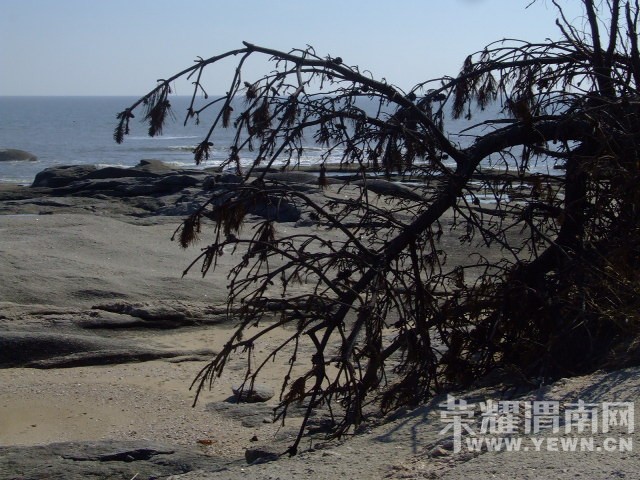 DSCF0233.JPG