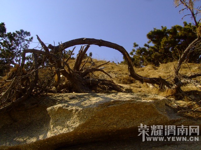 DSCF0238.JPG