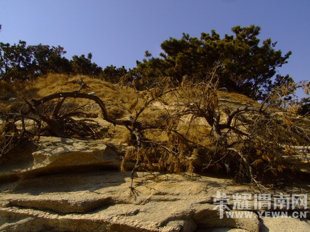 DSCF0237.JPG