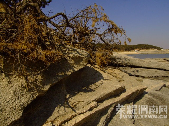 DSCF0239.JPG