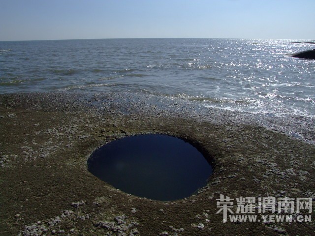 DSCF0254.JPG