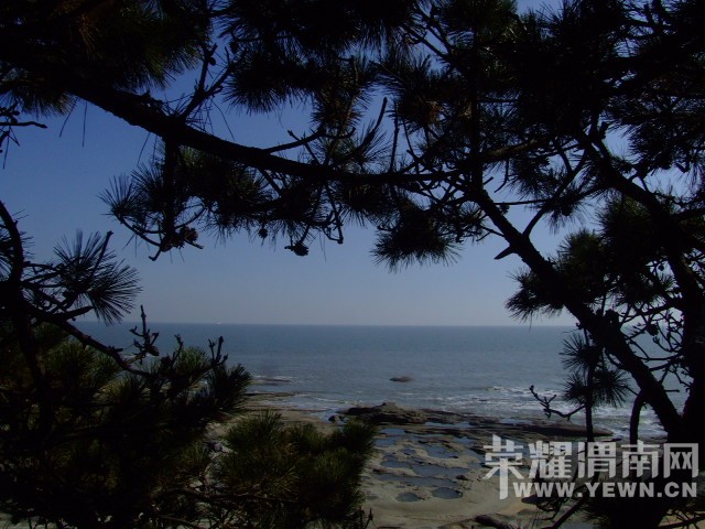 DSCF0263.JPG