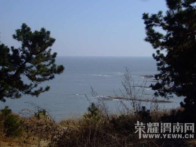 DSCF0303.JPG