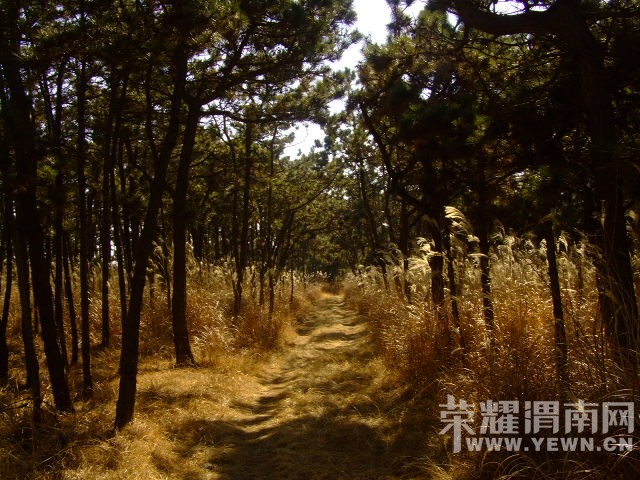 DSCF0300.JPG