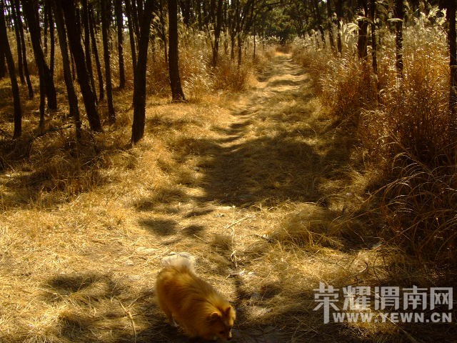 DSCF0299.JPG