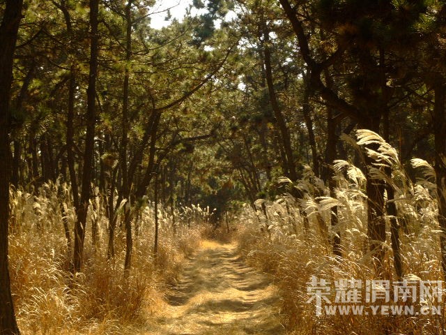 DSCF0296.JPG