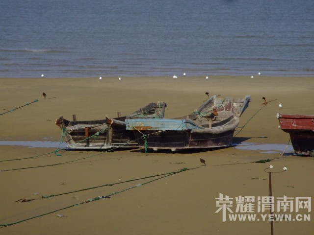 DSCF0307.JPG