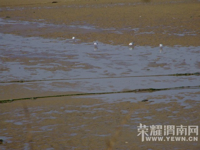 DSCF0305.JPG