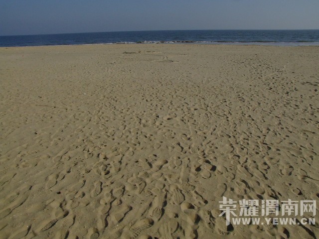 DSCF0384.JPG