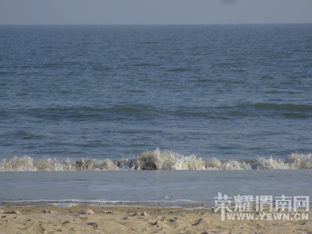 DSCF0385.JPG