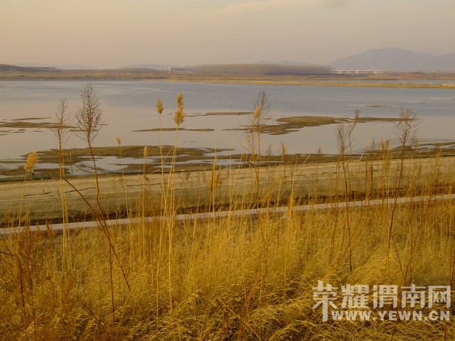 DSCF0438.JPG
