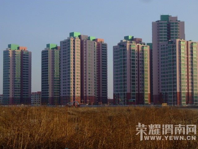 DSCF0433.JPG