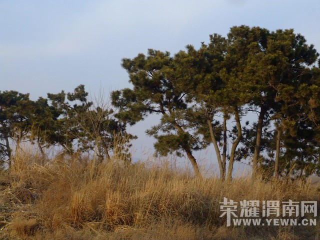 DSCF0435.JPG