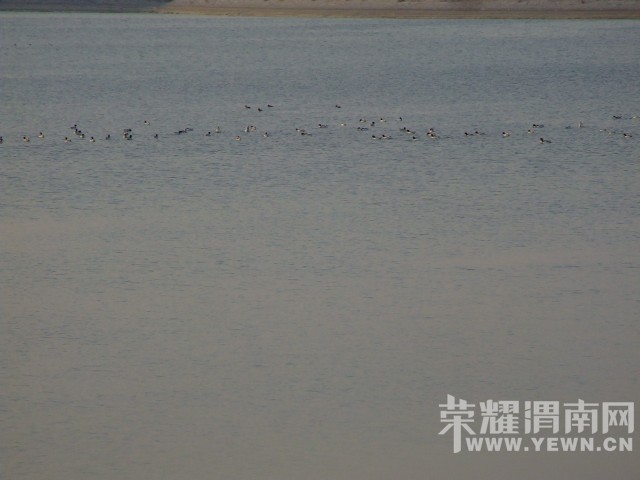 DSCF0437.JPG