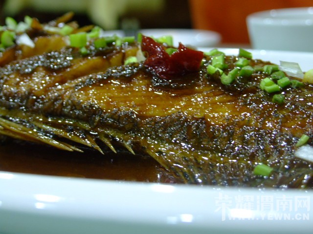 DSCF0473.JPG