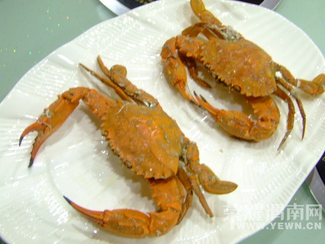 DSCF0817.JPG