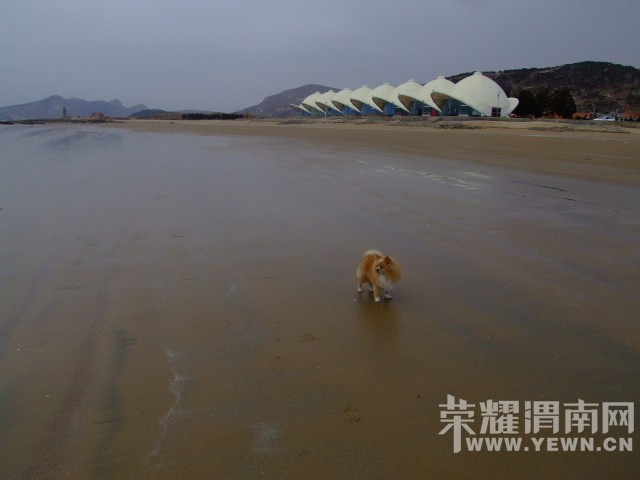 DSCF0506.JPG