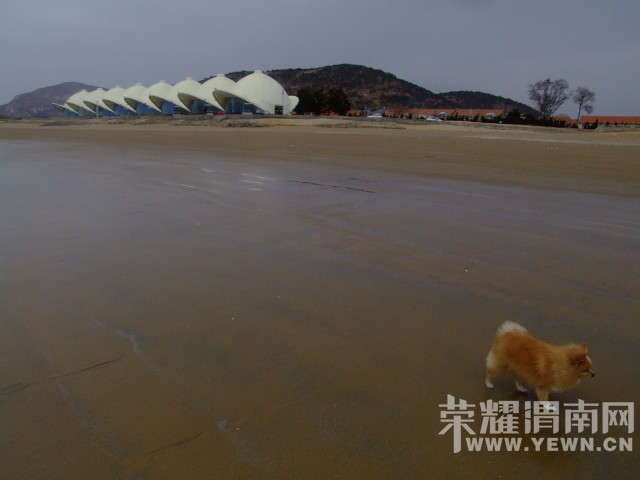 DSCF0505.JPG