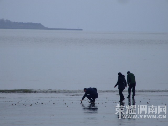 DSCF0493.JPG