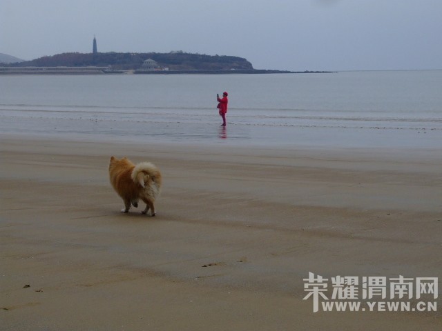 DSCF0514.JPG
