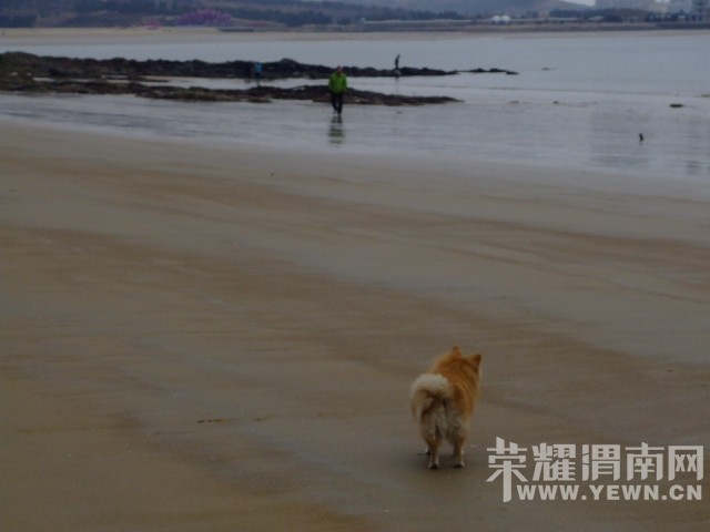 DSCF0513.JPG