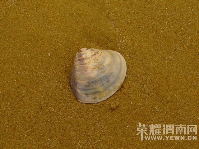DSCF0577.JPG
