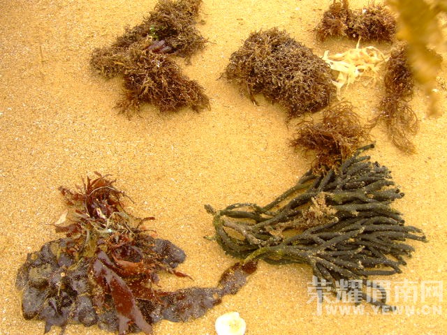 DSCF0630.JPG