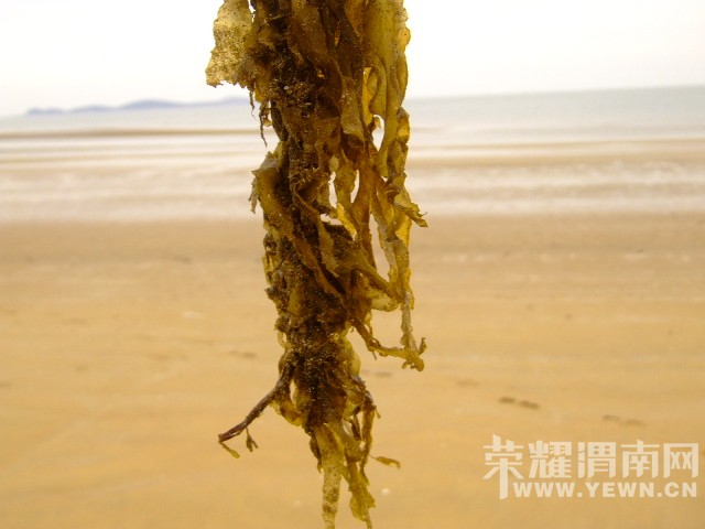 DSCF0631.JPG