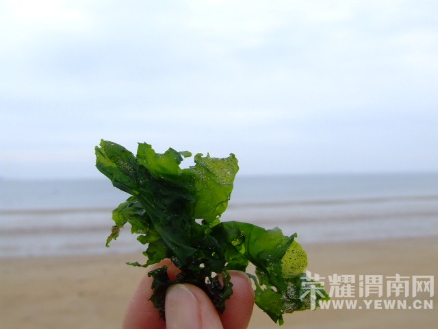 DSCF0637.JPG