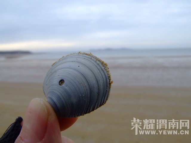 DSCF0601.JPG