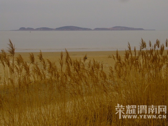 DSCF0530.JPG