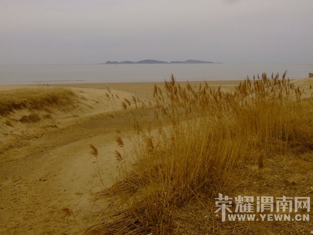DSCF0529.JPG