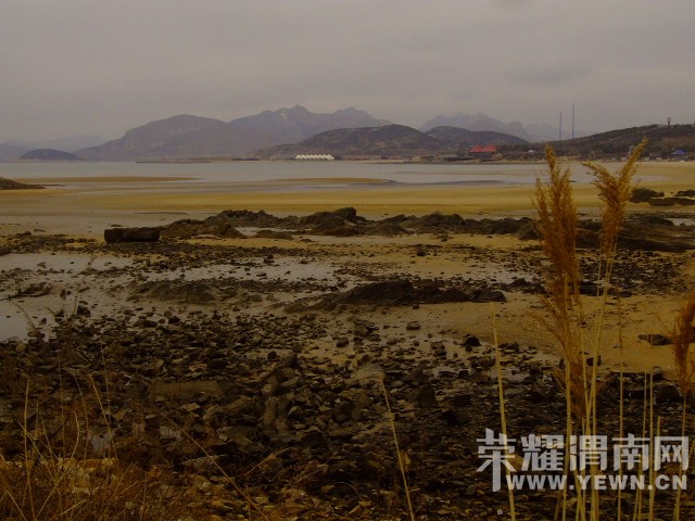DSCF0659.JPG