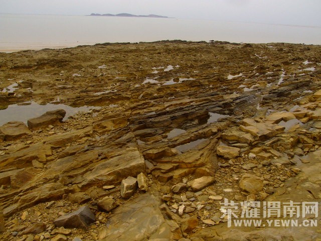 DSCF0533.JPG