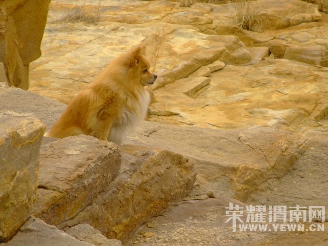 DSCF0547.JPG