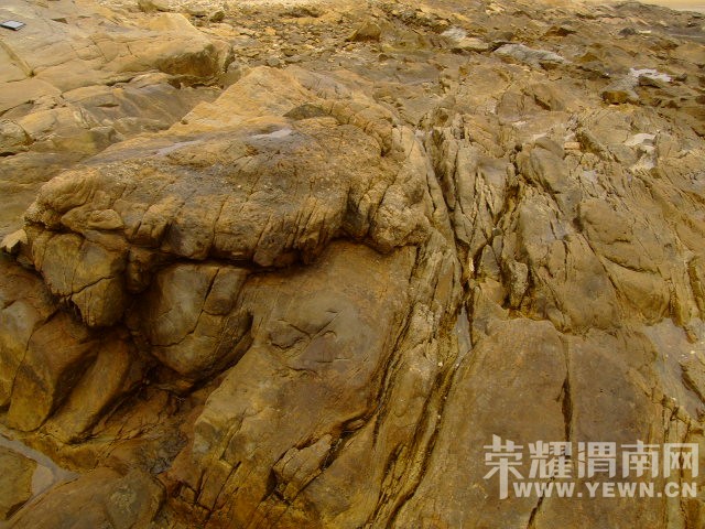 DSCF0542.JPG