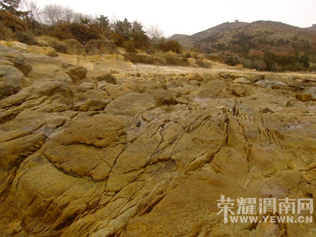 DSCF0544.JPG