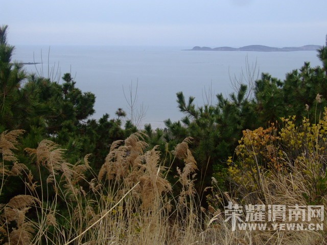 DSCF0570.JPG