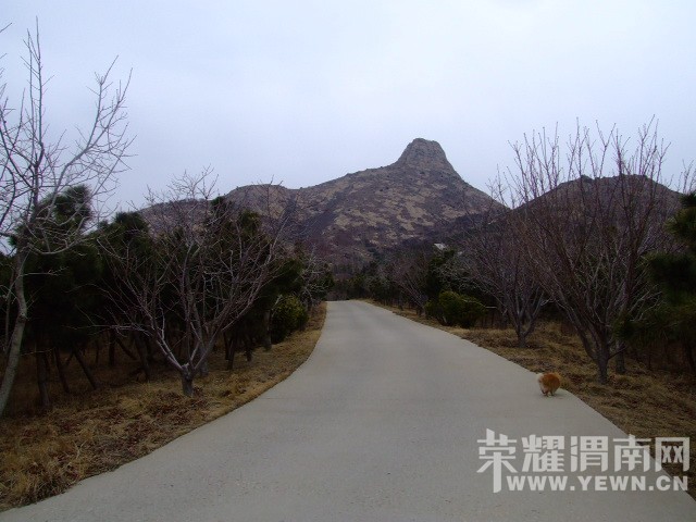 DSCF0569.JPG