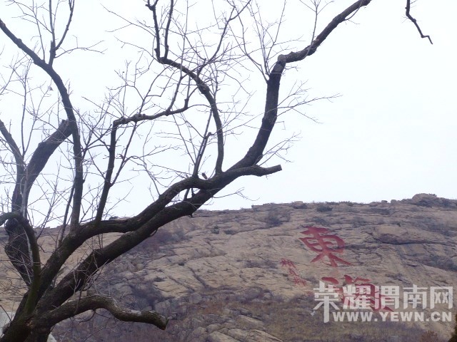 DSCF0646.JPG