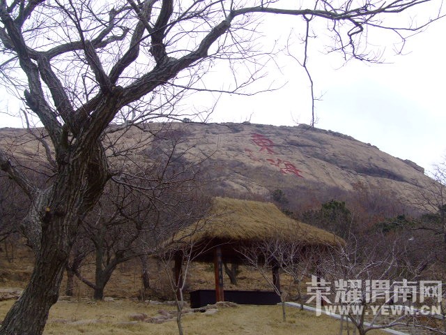 DSCF0650.JPG