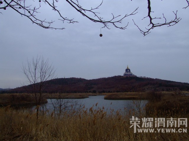 DSCF0643.JPG