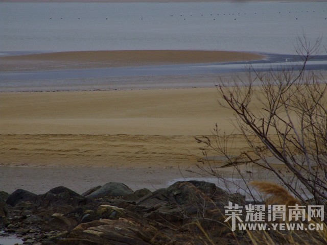 DSCF0664.JPG