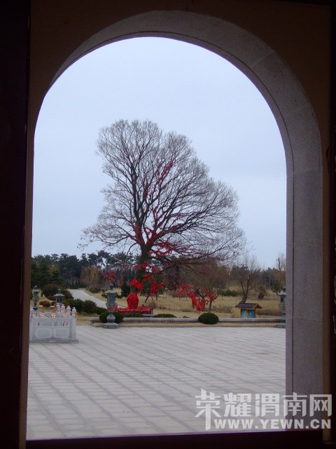 DSCF0702.JPG
