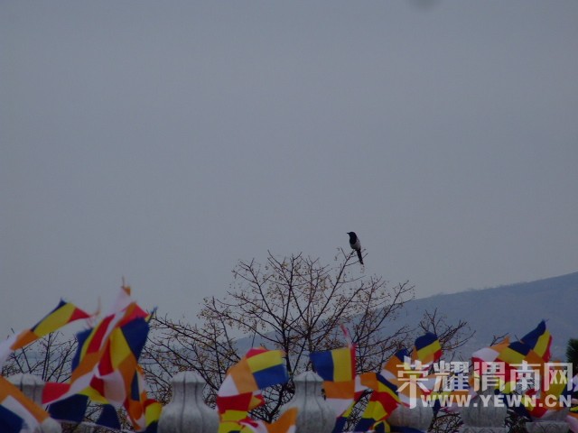 DSCF0697.JPG